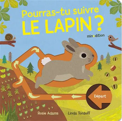 Pourras-tu suivre le lapin