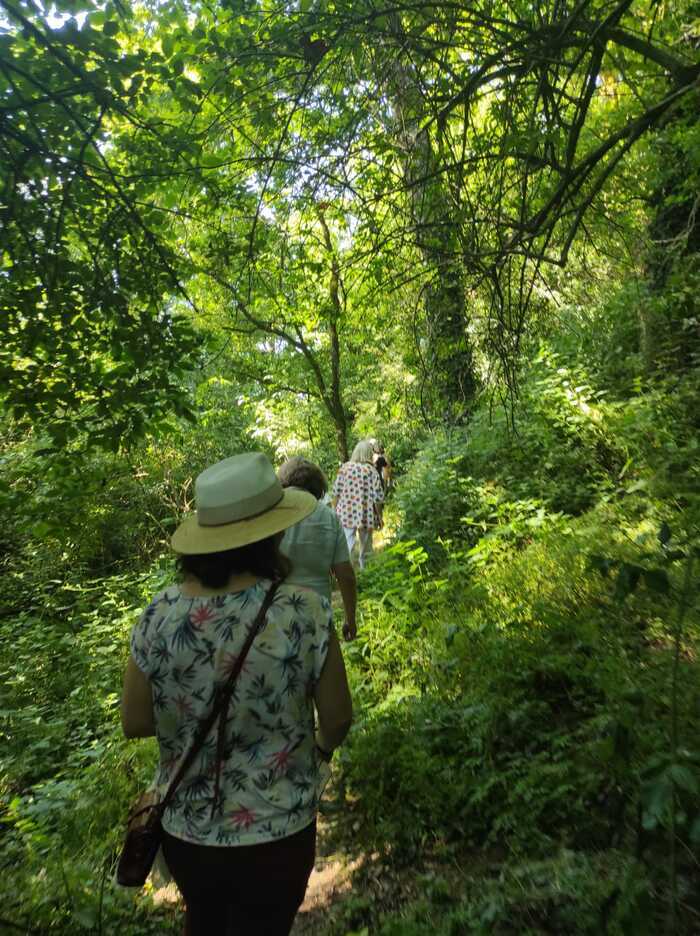 Balade nature au bord de l’Oyon Prieuré Saint-Etienne - Guer Guer