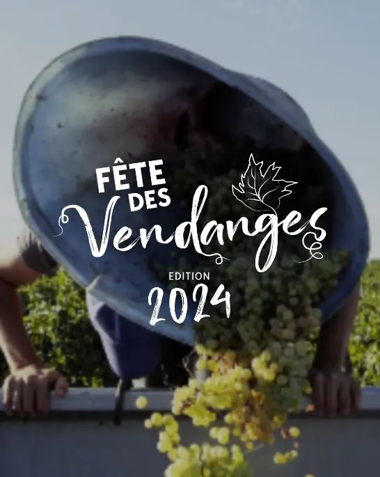 FÊTE DES VENDANGES