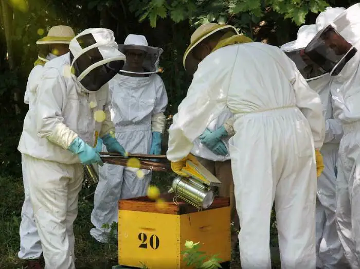 Inscription pour les cours d’initiation à l’apiculture à l'occasion de la Fête du Miel et des Abeilles le dimanche 6 octobre 2024 Rucher école de Toulouse Toulouse