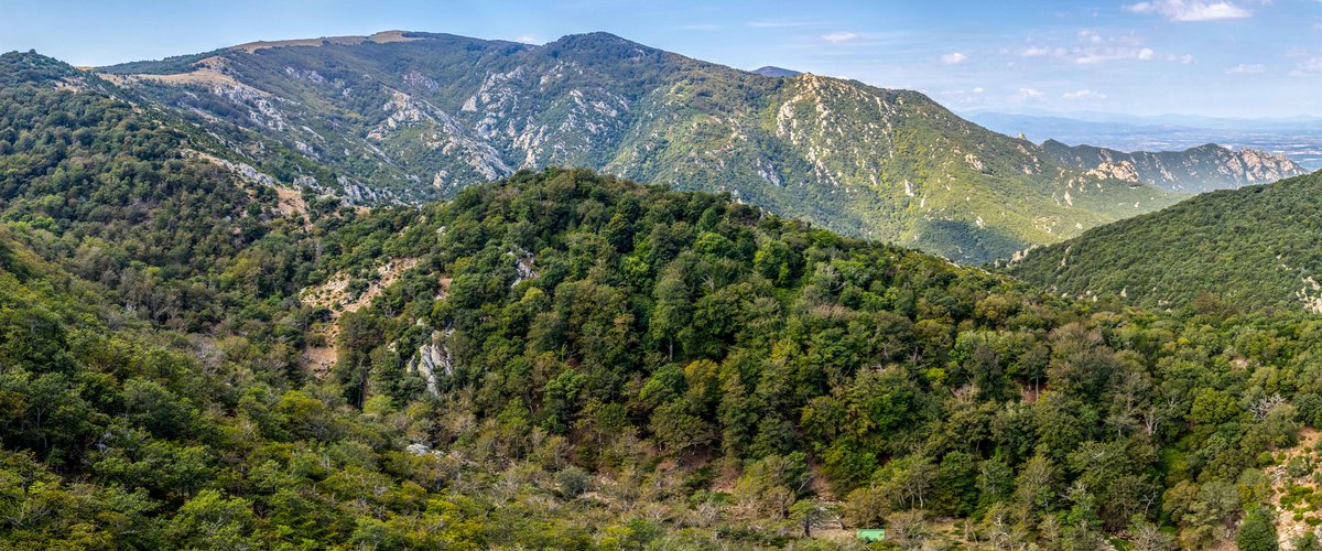 DECOUVERTE DE LA MASSANE