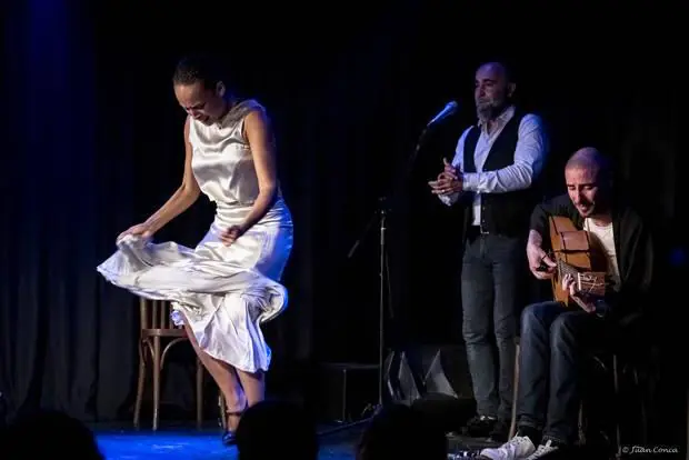 SPECTACLE - FLAMENCO