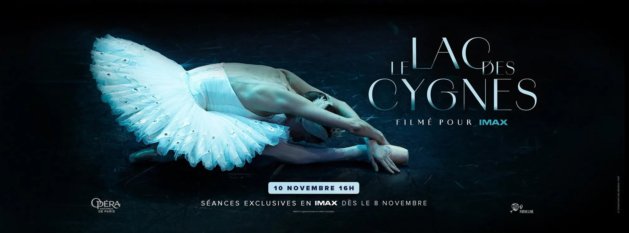 CINÉ SPECTACLE: LE LAC DES CYGNES