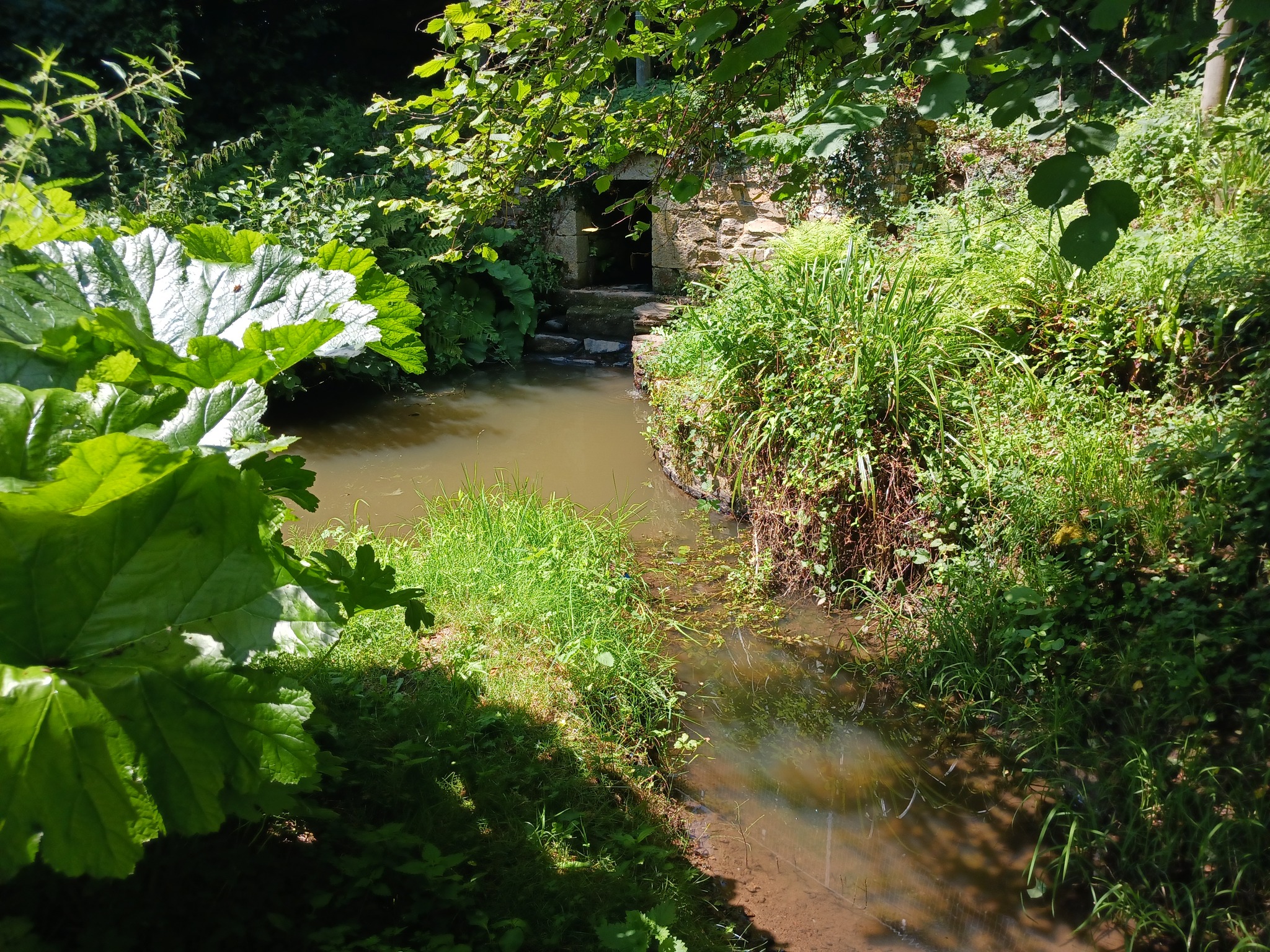 Journées Européennes du Patrimoine Rencontre Le Val de Flore un jardin-fôret