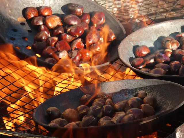 Fête de la châtaigne