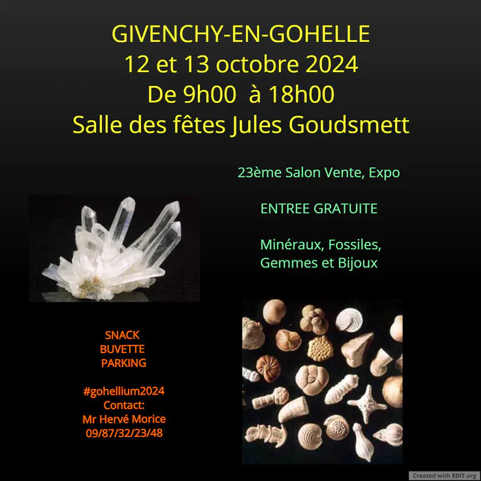 23ème Salon Vente exposition Minéraux et fossiles salle jules Goudsmett Sarreguemines