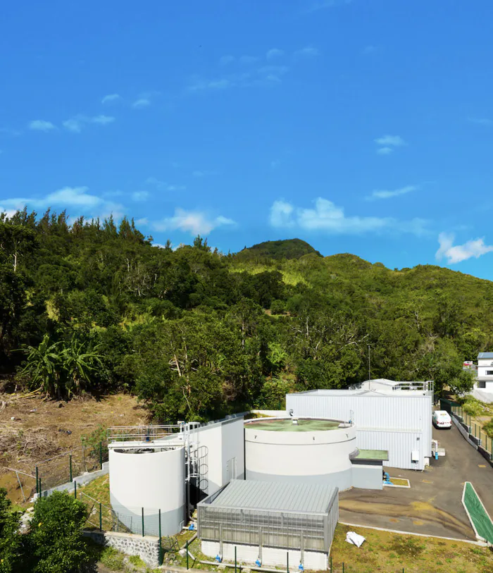 Journée du Patrimoine - Visite du site de Bois de Nèfles (97400 ) La Réunion Site de Bois de Nèfles Saint-Denis