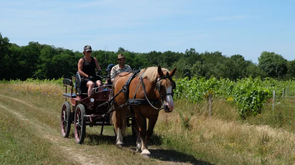 Fascinant week-end En calèche dans le vignoble à Thoré-la-Rochette