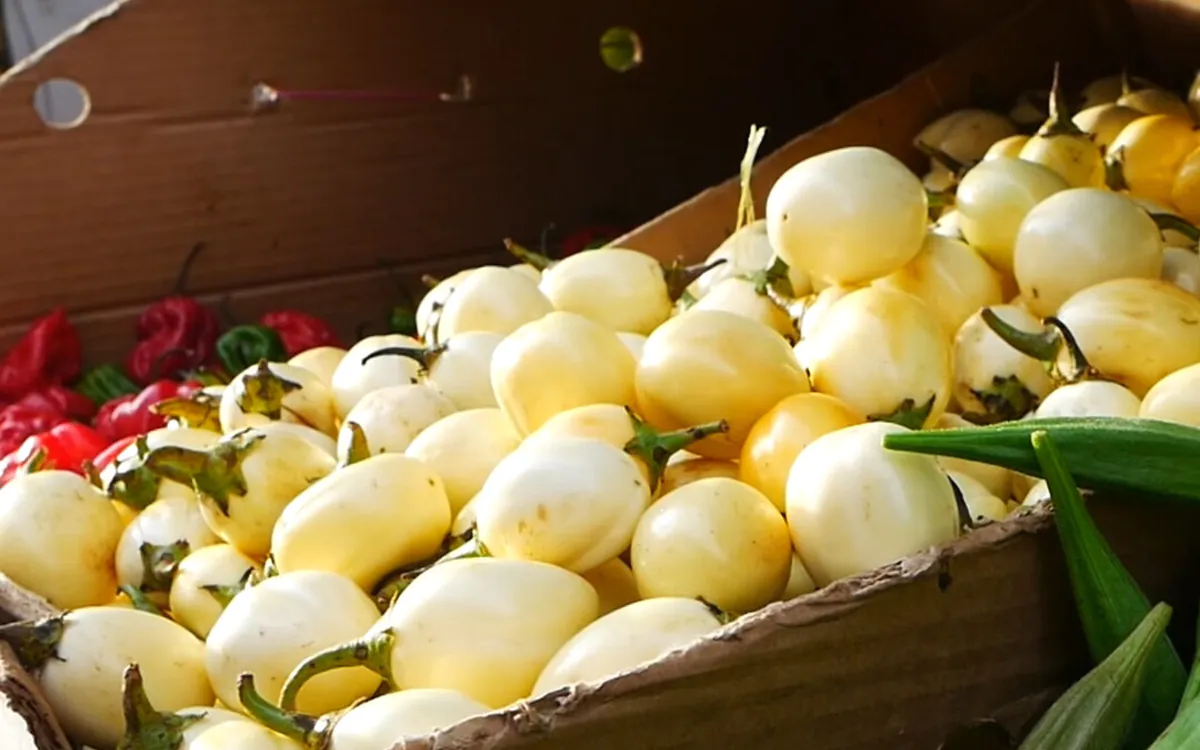 Trésors culinaires de la Goutte d’Or Institut des Cultures d'Islam (ICI) Paris