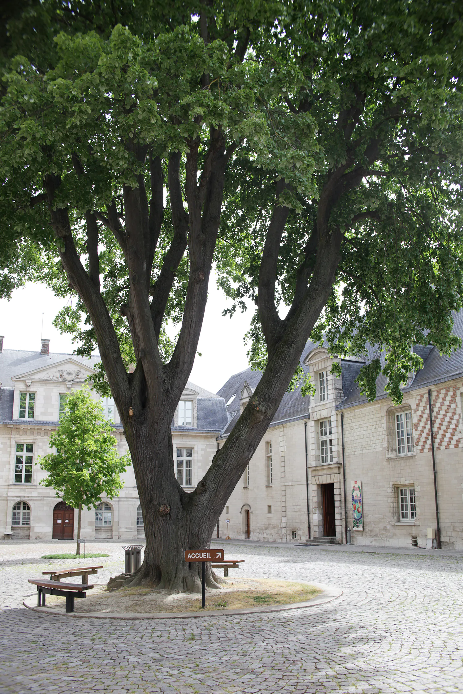 Musée d'Art moderne Collections nationales Pierre et Denise Lévy JEP 2024