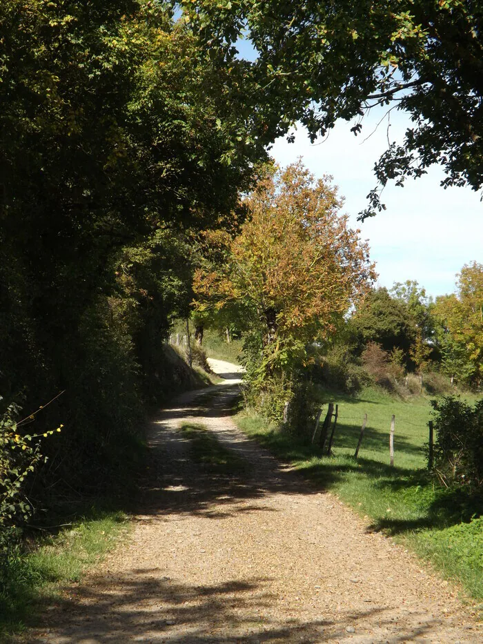 Randonnée sur la Trace de la Transhumance