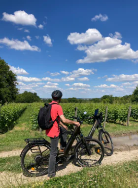 Fascinant week-end A vélo à travers le vignoble en Vendômois