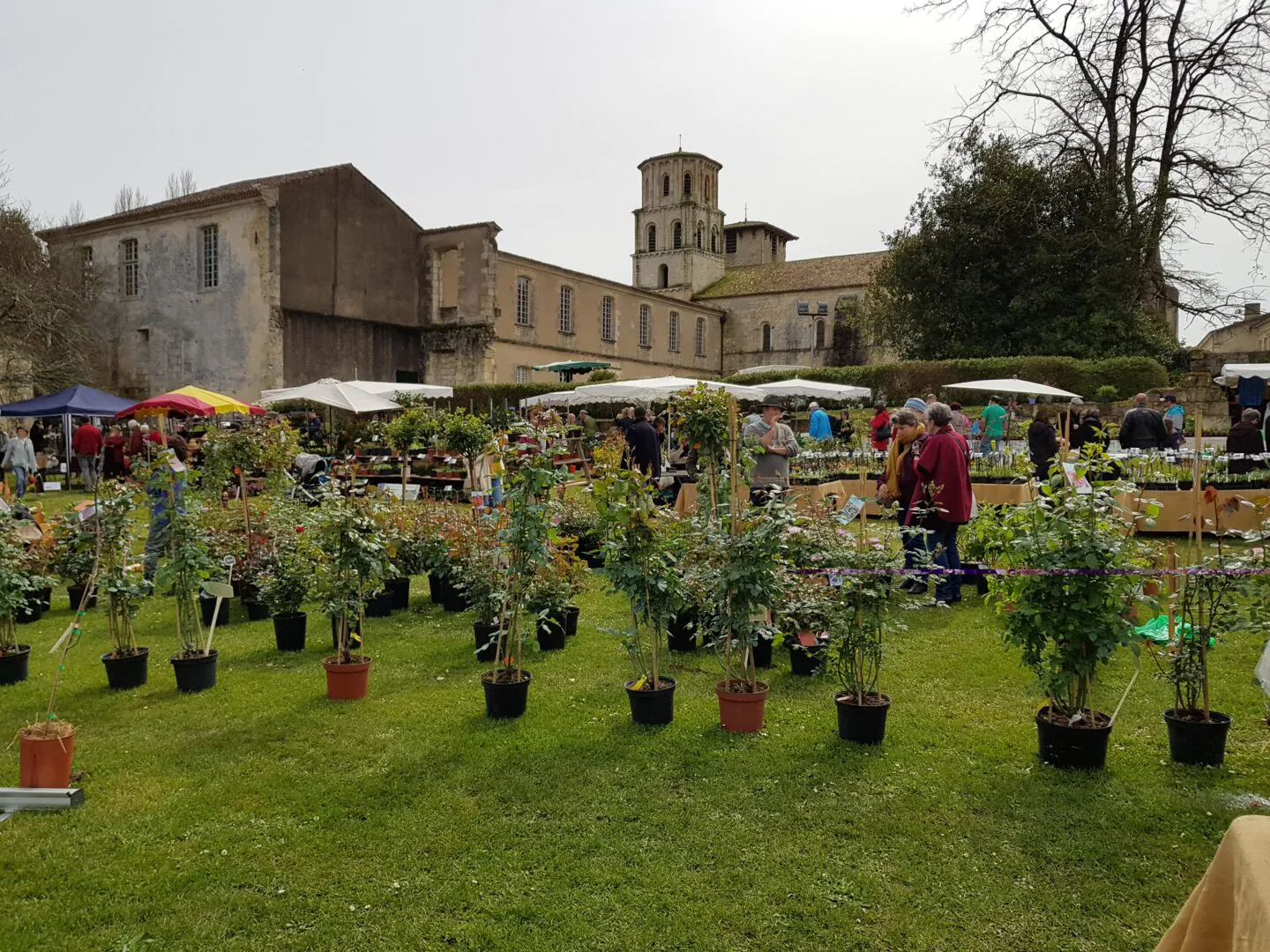 Foire aux plantes "La Passiflore" plantes et papiers