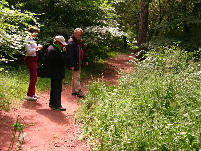 Le latin dans votre jardin Villa Aurélienne Fréjus Fréjus