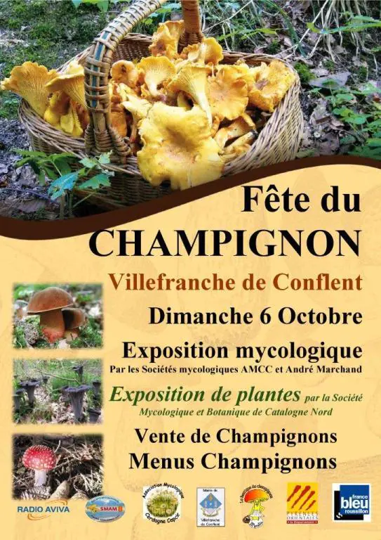 FÊTE DU CHAMPIGNON 2024