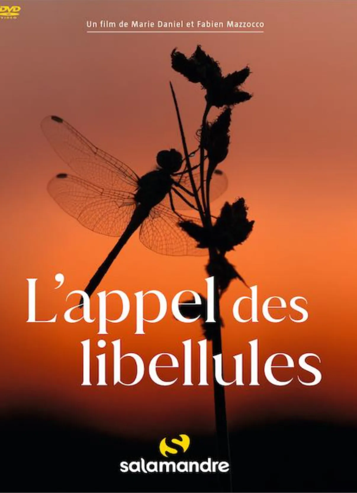 Ciné conférence L'appel des libellules