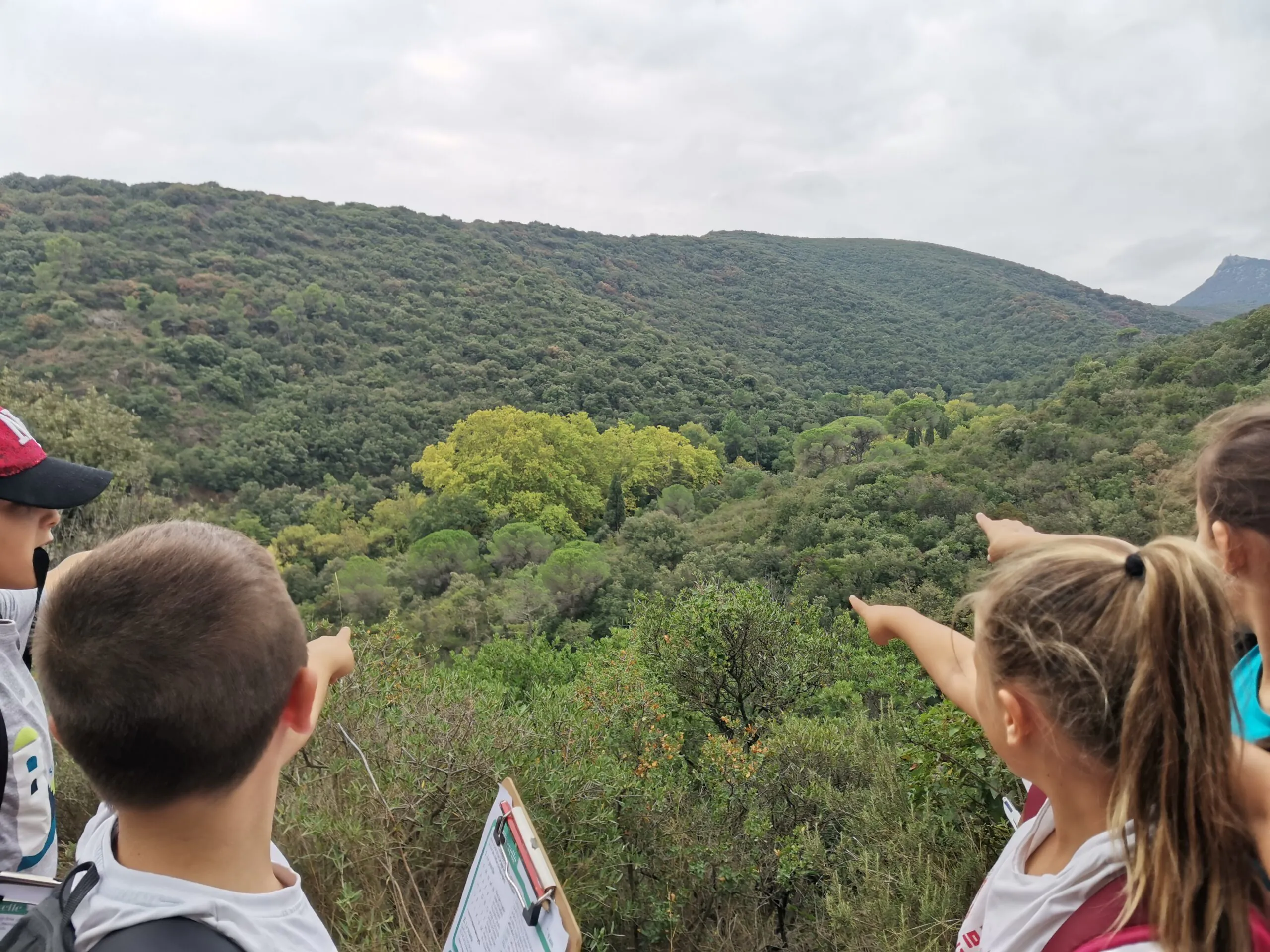 STAGE "CHERCHEURS DE NATURE"