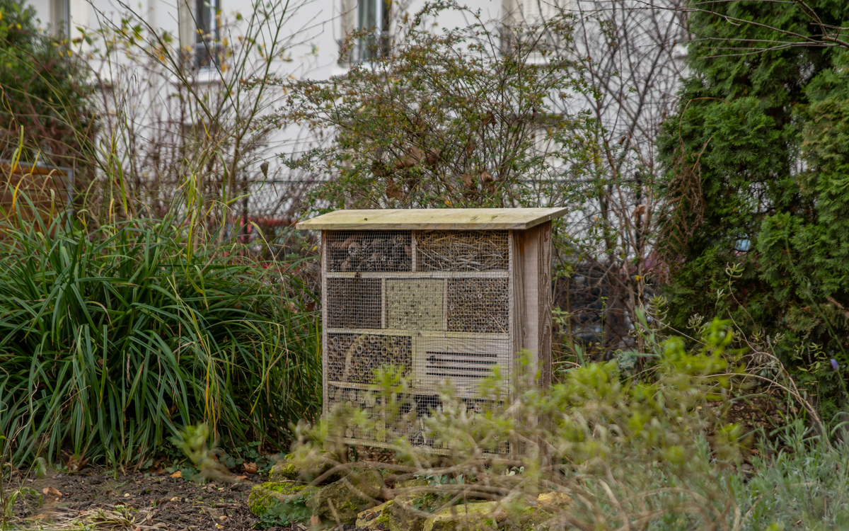 Aménager un refuge pour les insectes Maison Paris Nature Paris