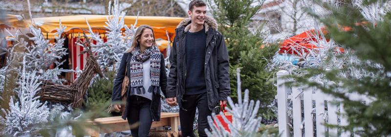 Le village de Noël avec des chalets gourmands et artisanaux