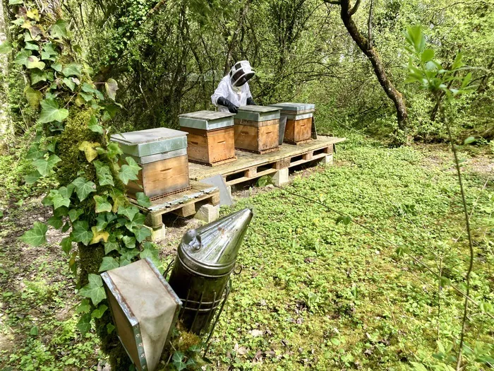 Visite du Rucher de Forêt - Api’Max Api’Max Blancs-Coteaux