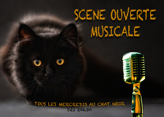 SCENE OUVERTE MUSICALE AU CHAT NOIR Nantes