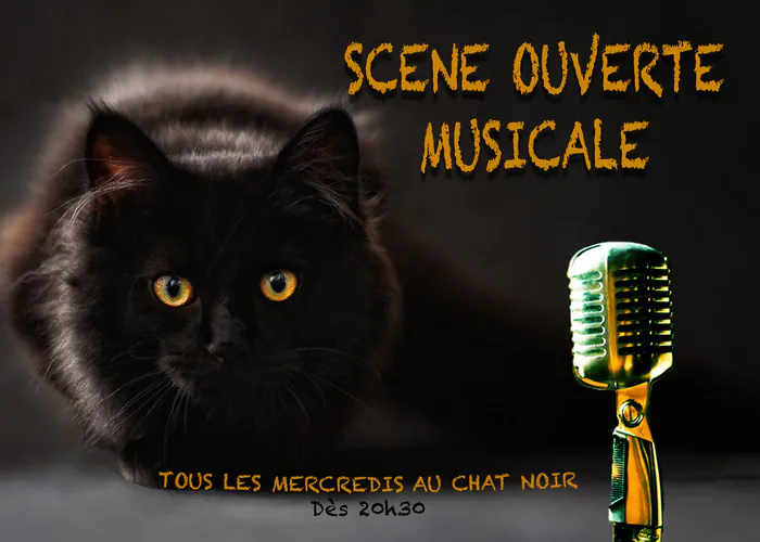 SCENE OUVERTE MUSICALE AU CHAT NOIR Nantes