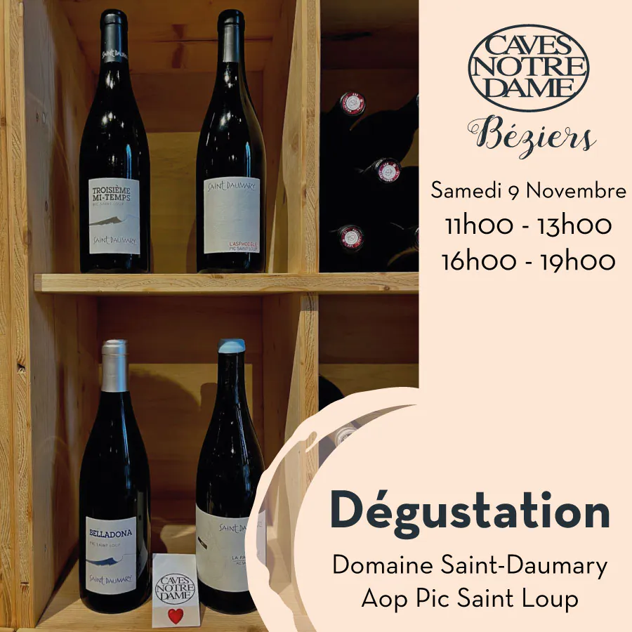 DEGUSTATION DES VINS DU DOMAINE SAINT DAUMARY