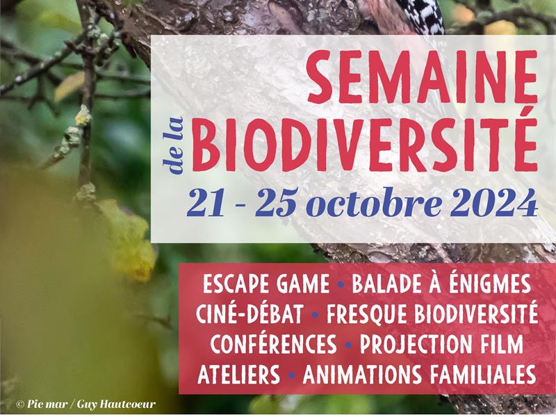 PROJECTION FILM LES PERLES DE LA VOLOGNE SEMAINE DE LA BIODIVERSITÉ