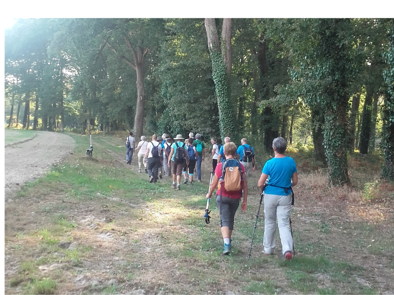 Marche rapide Rando de l'Avance