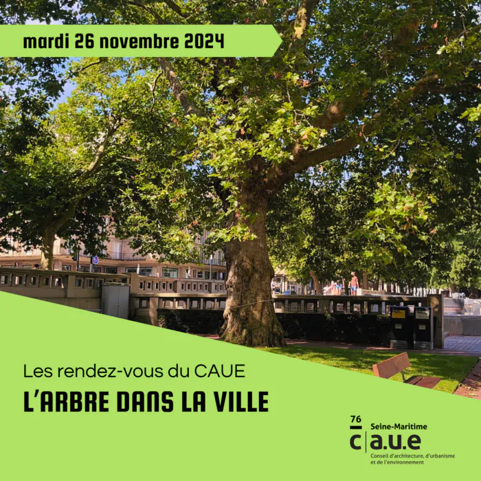 L'ARBRE DANS LA VILLE CAUE Seine-Maritime Le Petit-Quevilly