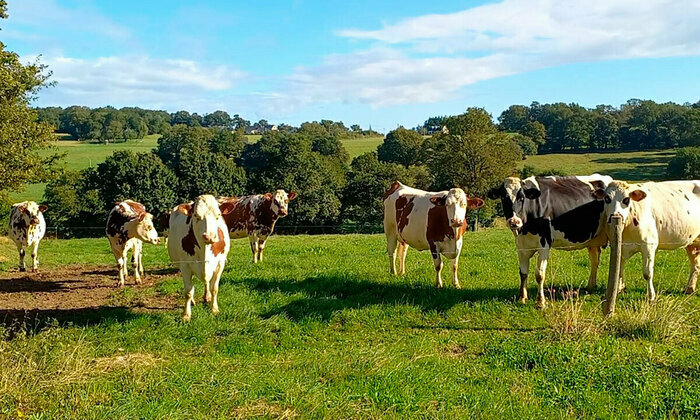 Agribus : sur la route des fermes à transmettre ! Châteaubriant (44) Châteaubriant