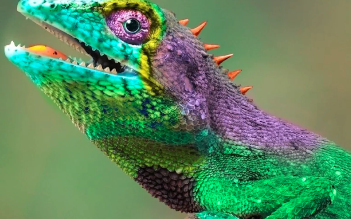 Conférence-spectacle : La Science des couleurs Hôtel de la Marine Paris