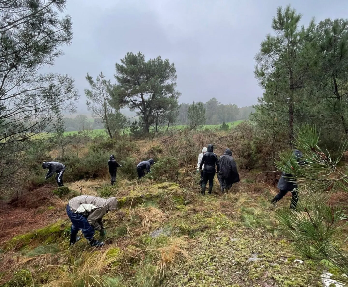  CPIE Brocéliande