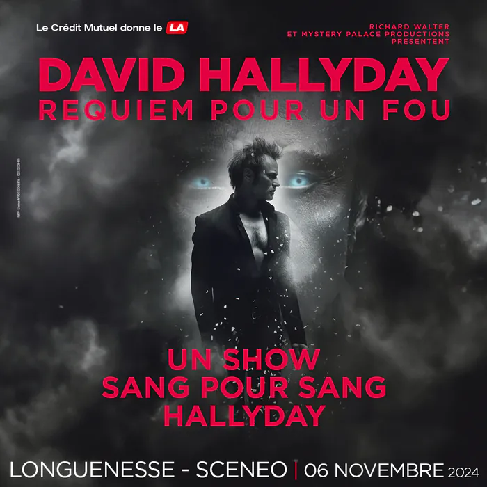 David HALLYDAY Requiem pour un Fou Sceneo Longuenesse