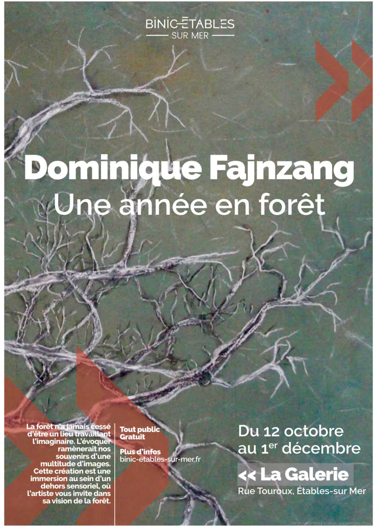 Dominique Fajnzang