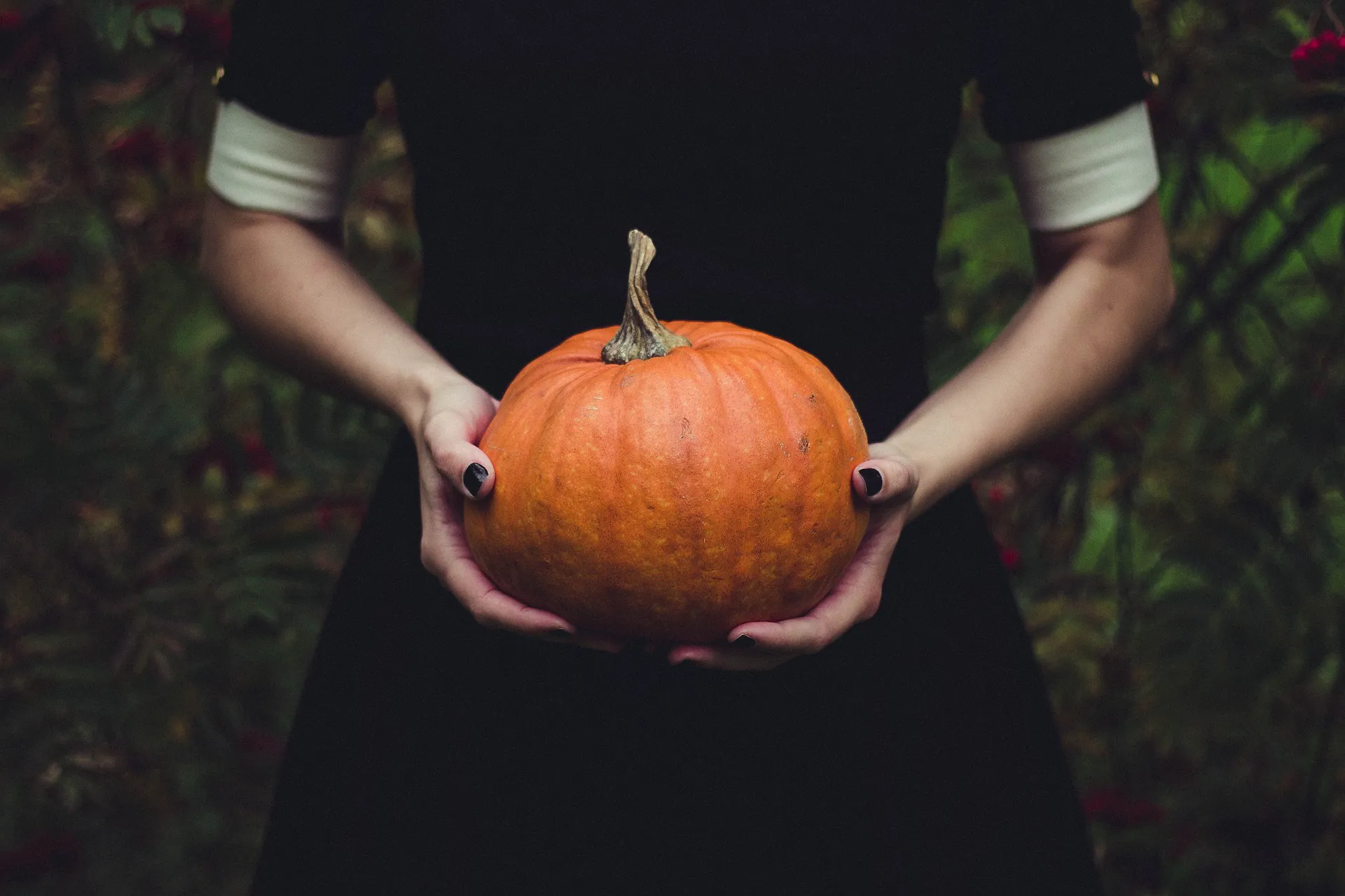 La citrouille de Jack'O Lantern