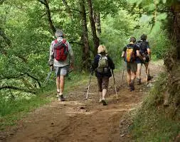 Randonnée accompagnée