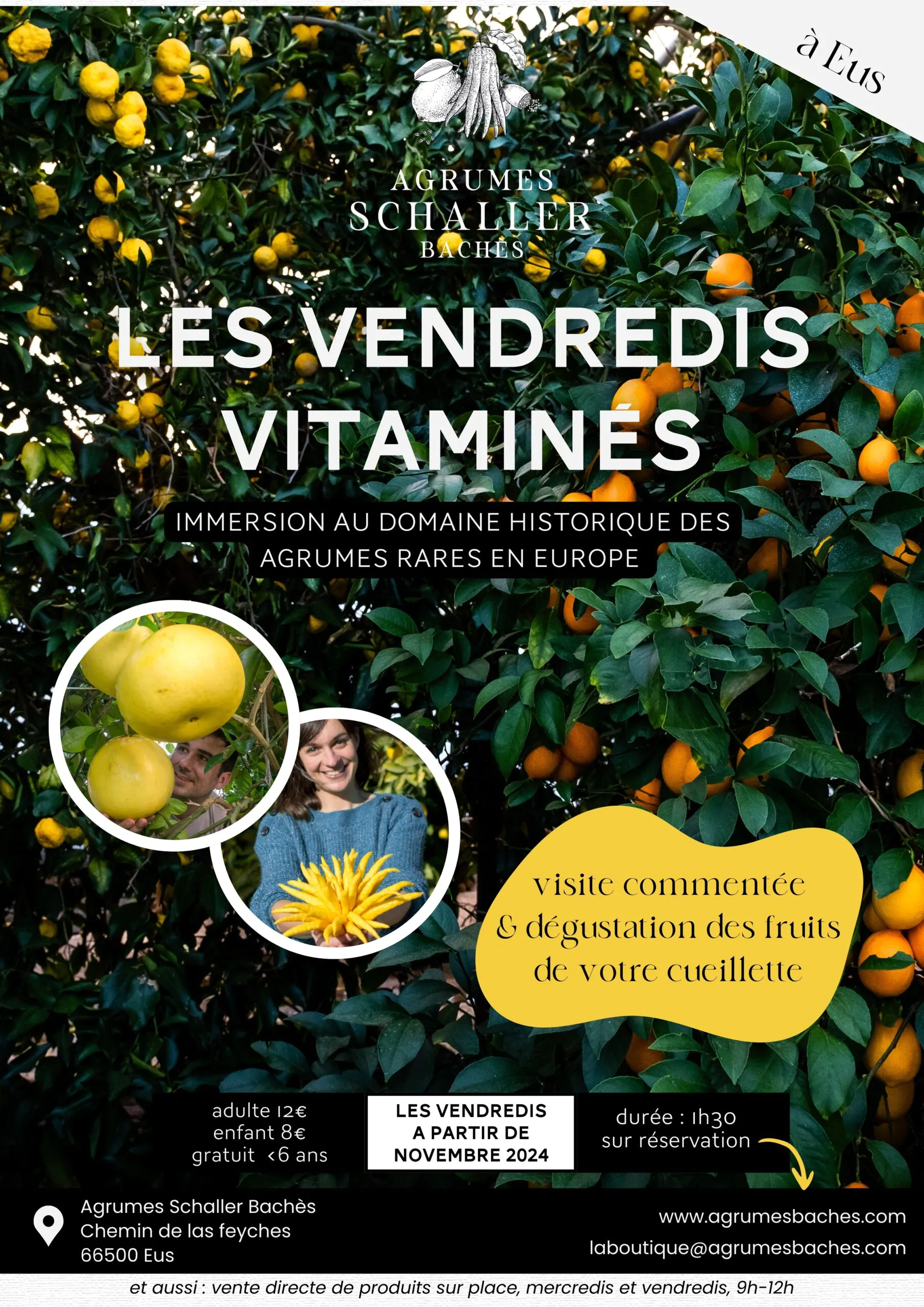 VENDREDIS VITAMINÉS!