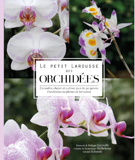 expo-orchidées 