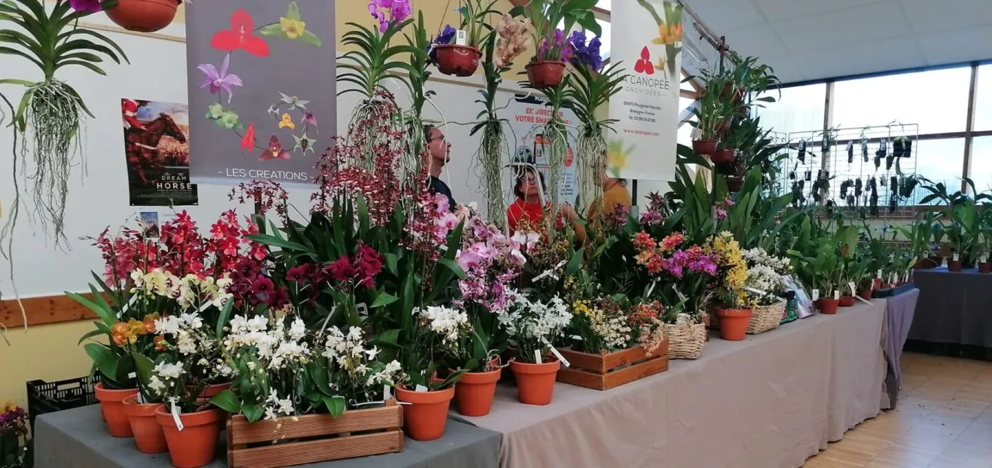 expo-orchidees