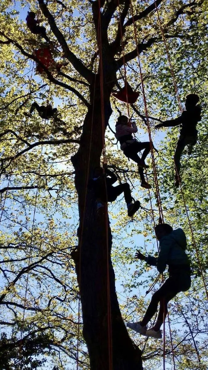 Grimpe d'Automne Derrière le BAM Rennes