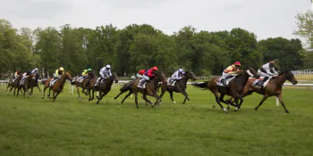 Courses hippiques : Galop Hippodrome du Petit Port