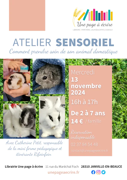 Atelier sensoriel Comment prendre soin de son animal domestique