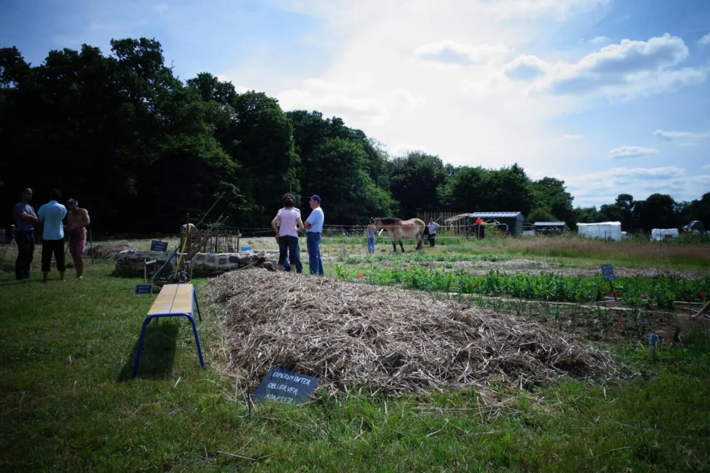 jardin des mille pas