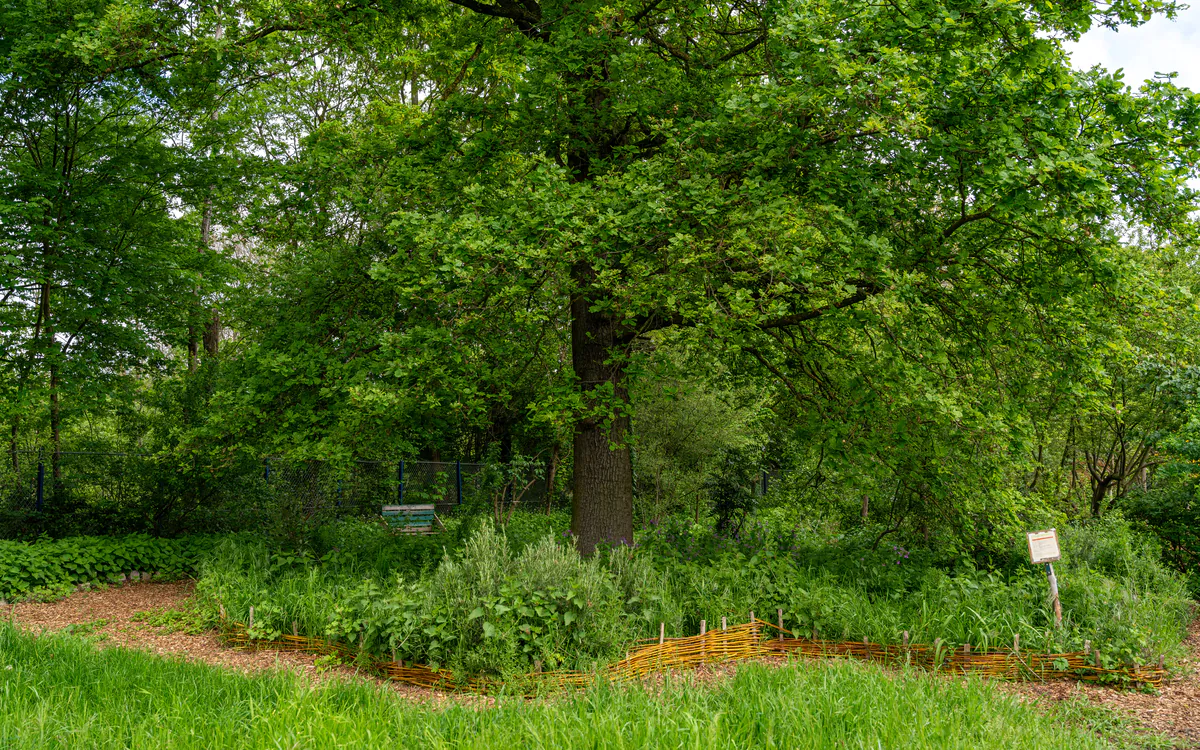 La biodiversité à Paris Maison Paris Nature Paris