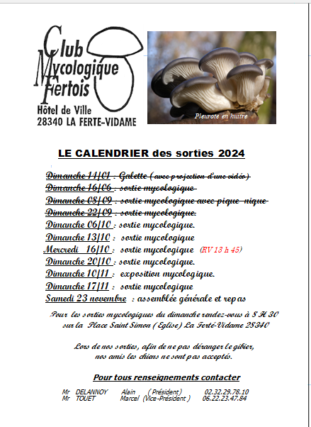 Sorties mycologique