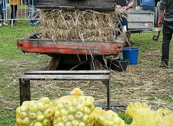 la pomme et le cidre 