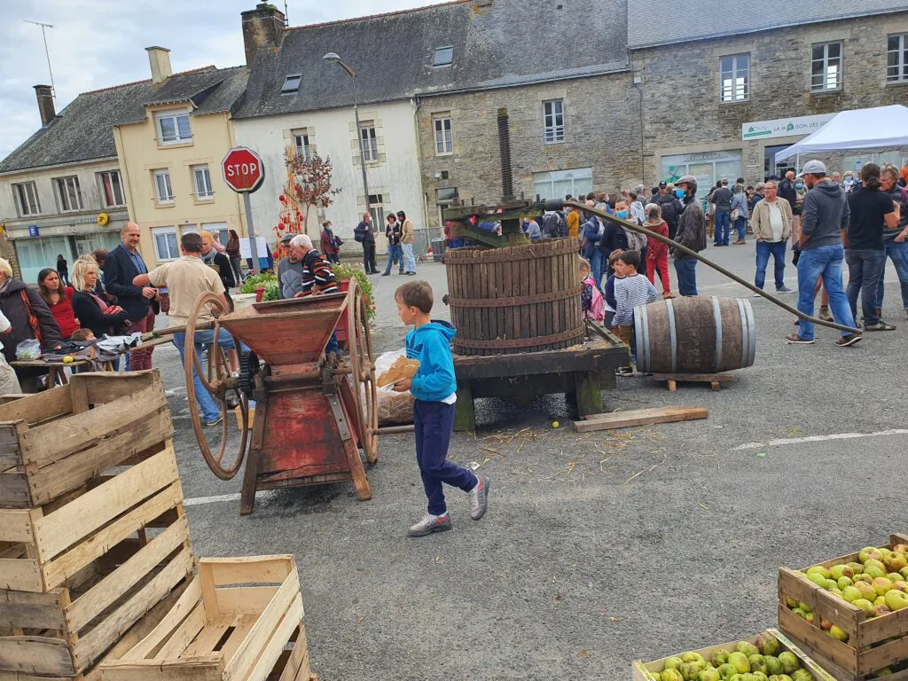  la pomme et le cidre 