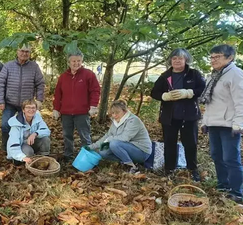 les châtaignes