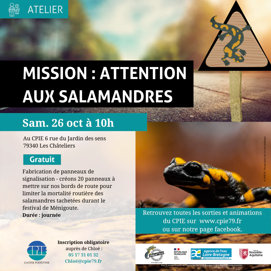 Mission Attention aux salamandres